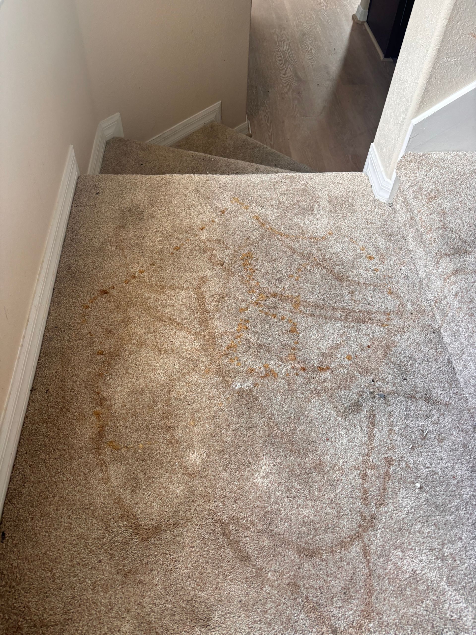 Beige carpeted stairs leading down from a landing with more beige carpeting. White baseboards.