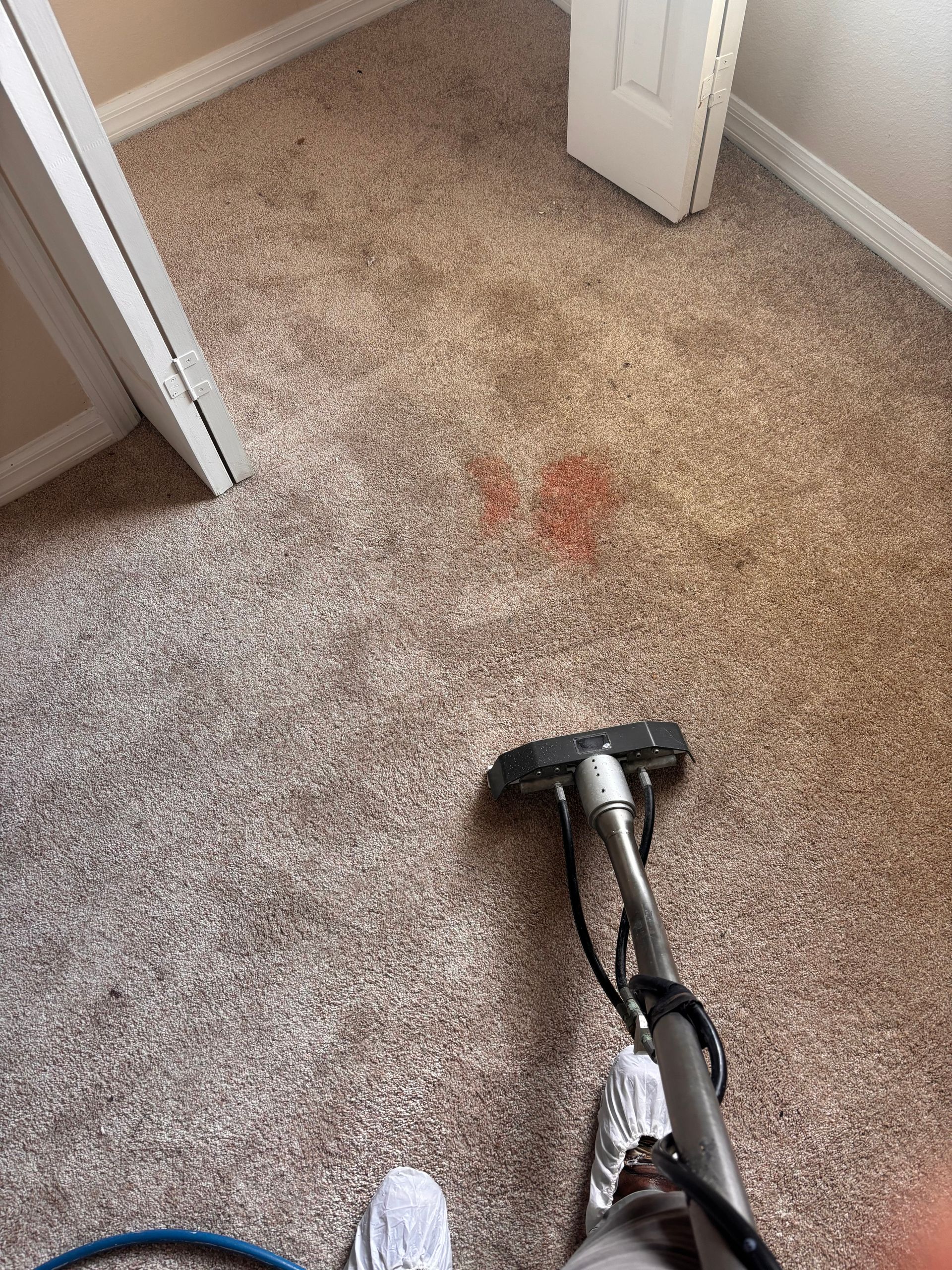 Carpet cleaner removing a red stain from beige carpet in a room with white doors and trim.