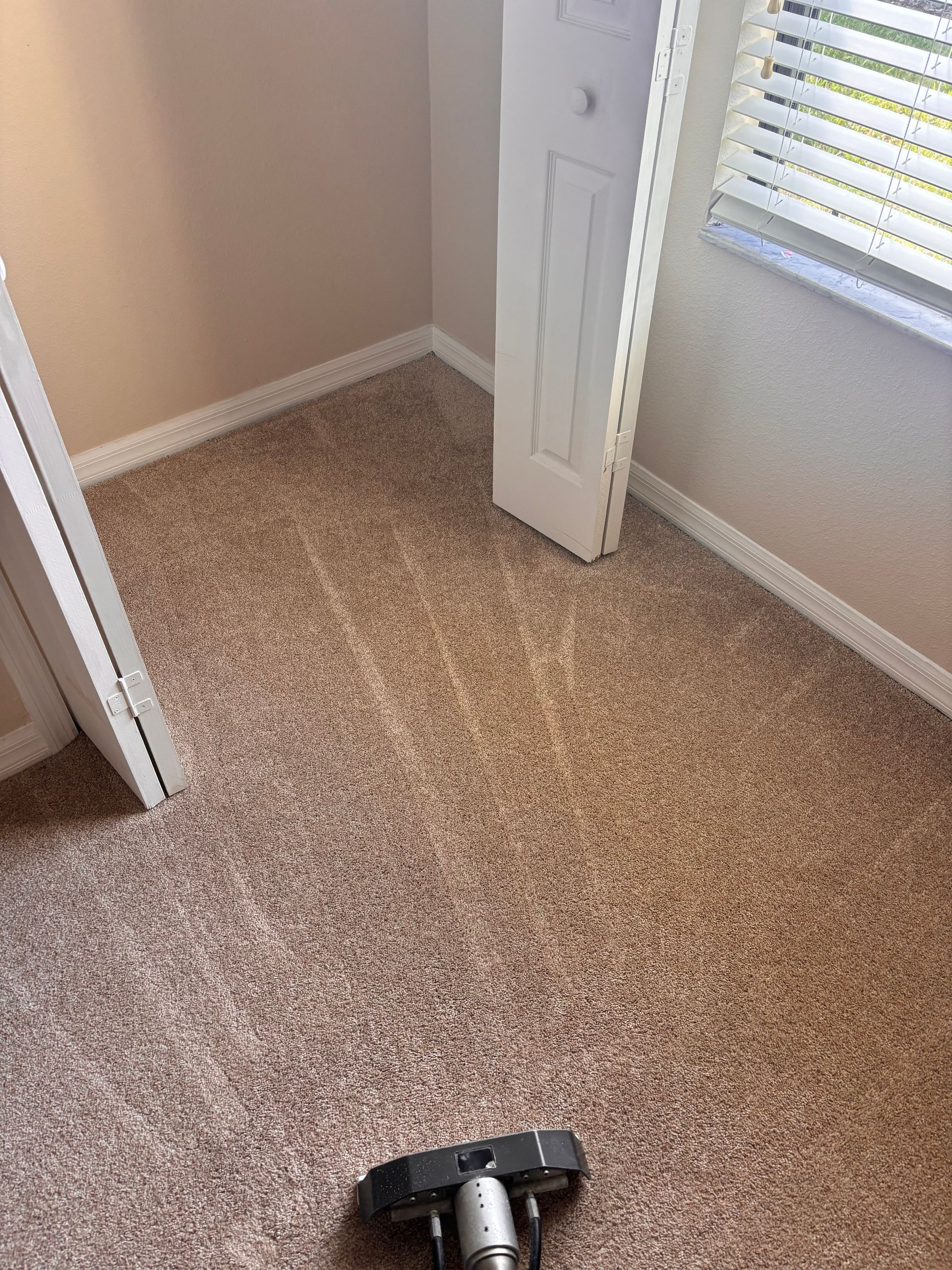 carpet stain removal davenport fl