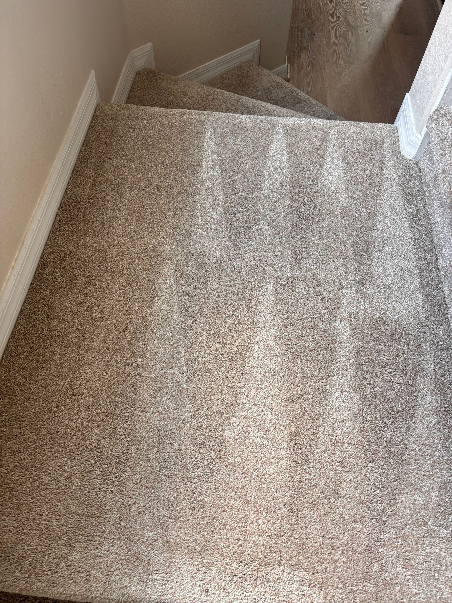 Staircase with light brown carpet and white trim. Top-down perspective.