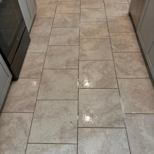 steam cleaning orlando florida