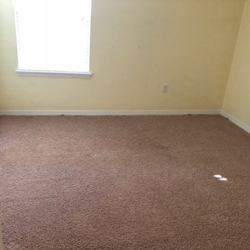 professional carpet stretching orlando