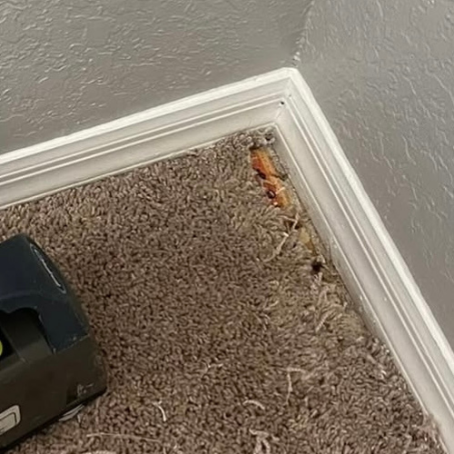 carpet repairs kissimmee