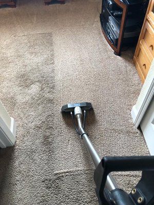deep carpet cleaning orlando