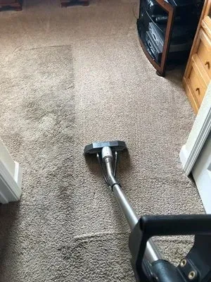 carpet cleaning company orlando