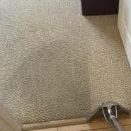deep carpet cleaning orlando