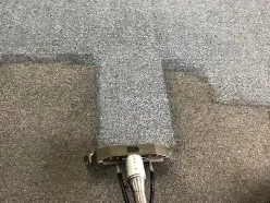 carpet cleaning davenport fl