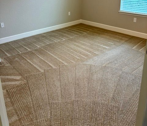 carpet cleaning davenport