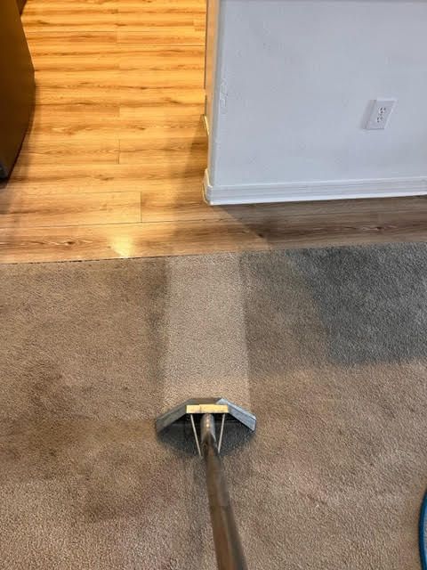 carpet cleaning for pet stains davenport