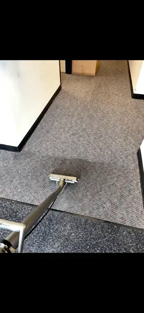 best carpet cleaner orlando