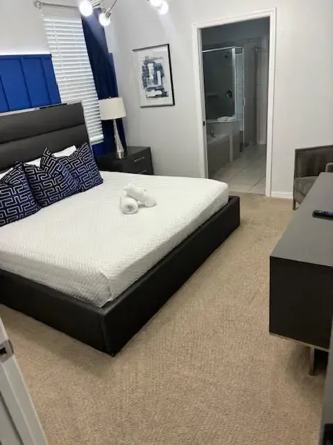 carpet stains orlando fl