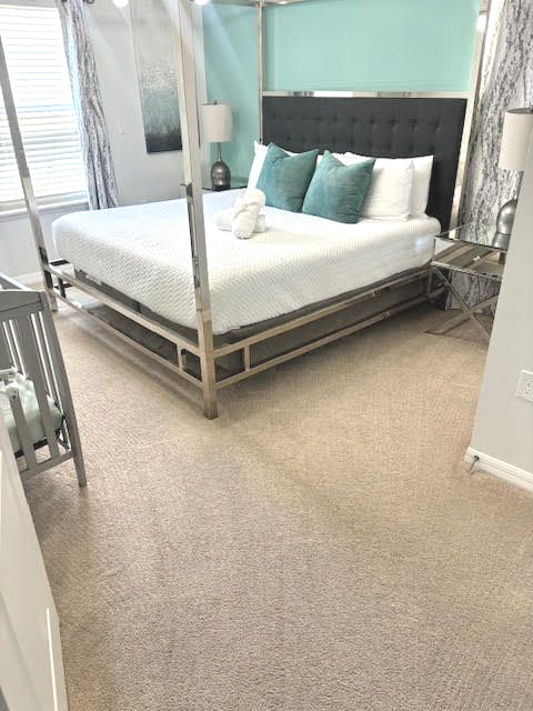 carpet cleaning pet stains davenport
