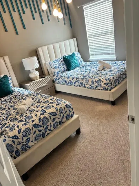 stain removal orlando fl