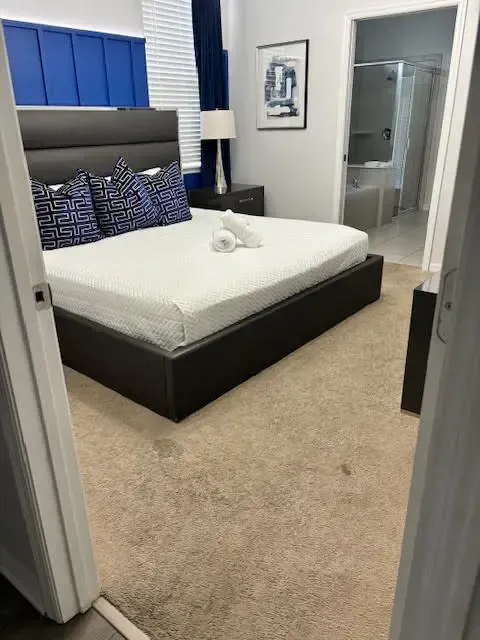 carpet cleaning kissimmee fl