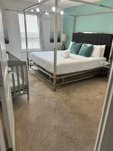 carpet cleaning orlando