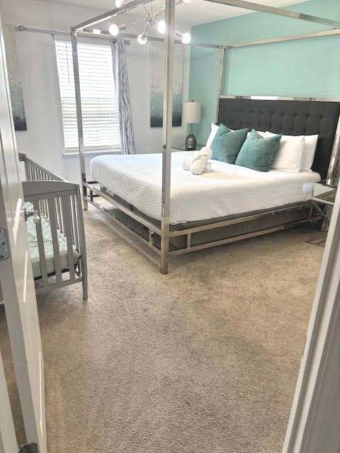 carpet cleaning for pet stains orlando
