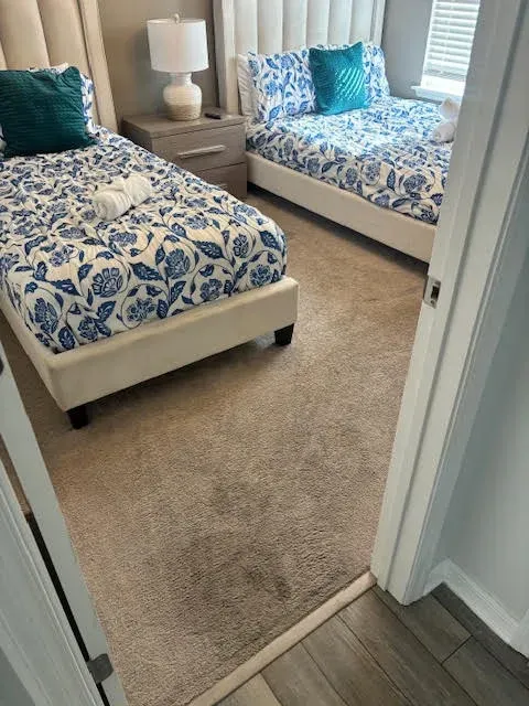 carpet cleaning company orlando fl