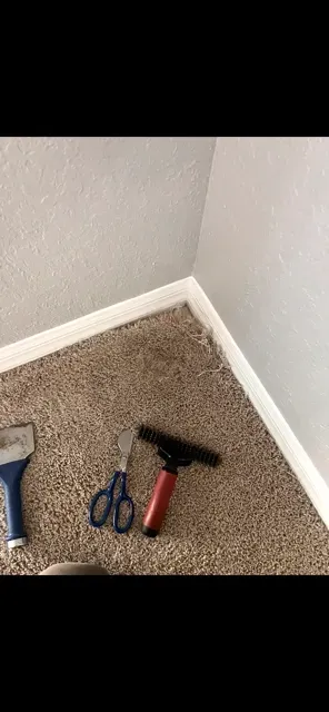 carpet repairs orlando