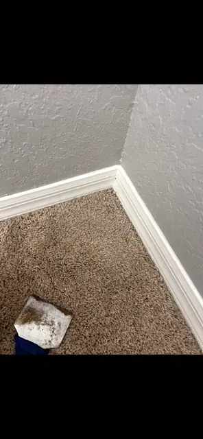 carpet repair orlando florida