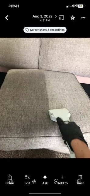 sofa cleaning windermere fl