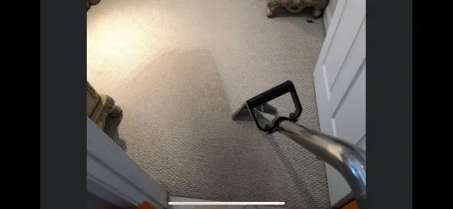 carpet cleaning windermere fl