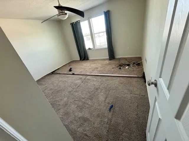 carpet stretching orlando florida area