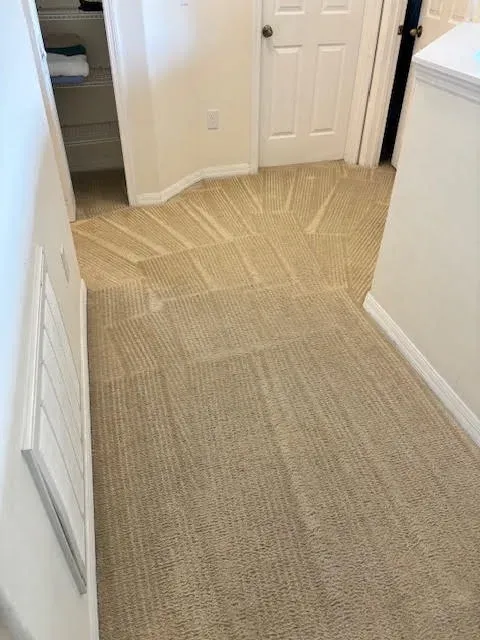 carpet cleaning orlando florida