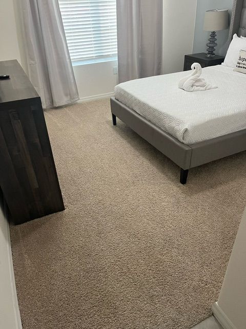steam cleaning winter garden fl
