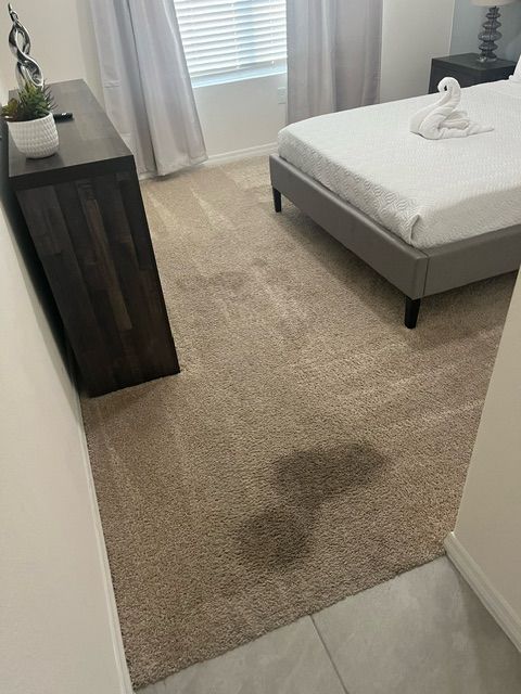 carpet cleaning winter garden