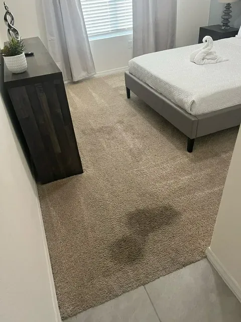 pet stains orlando fl