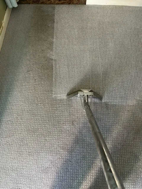 carpet steam cleaning orlando
