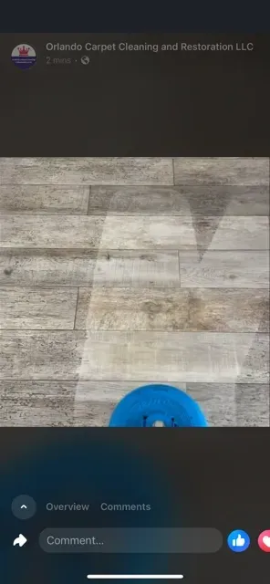 vinyl floor cleaning orlando fl