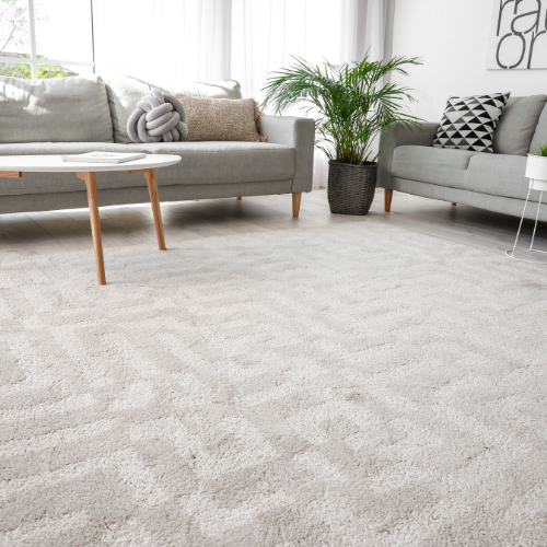 Living room with grey sofas, a patterned rug, a potted plant, and a coffee table.