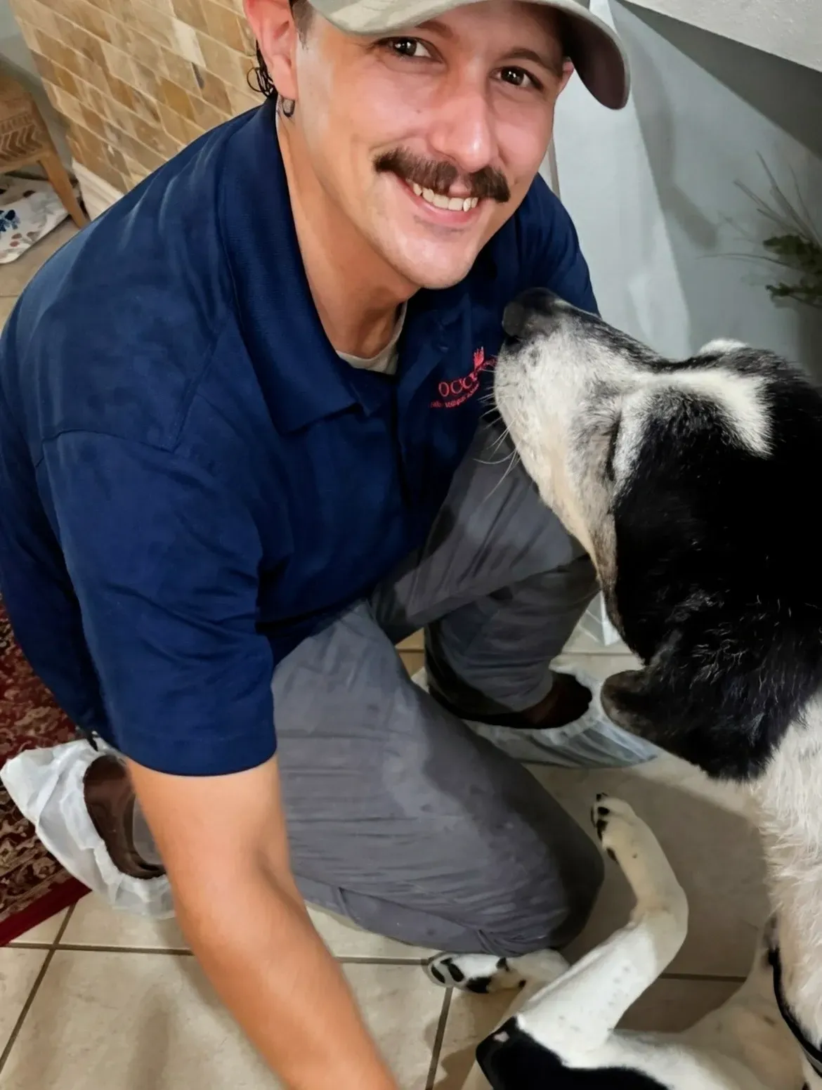 pet carpet cleaning near me
