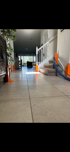 best steam cleaning company orlando