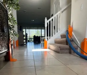 professional carpet cleaning company 34747