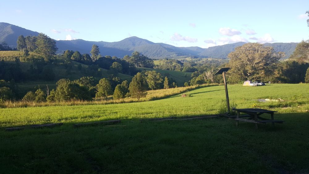 A Table Is In The Middle Of A Grassy Field — Jervis Bay Pressure Washing & Property Maintenance In Tomerong, NSW