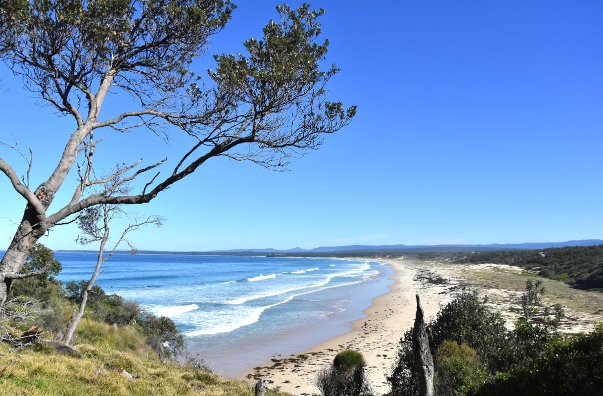 A Beach From A Hill With A Tree In The Foreground — Jervis Bay Pressure Washing & Property Maintenance In Sussex Inlet, NSW