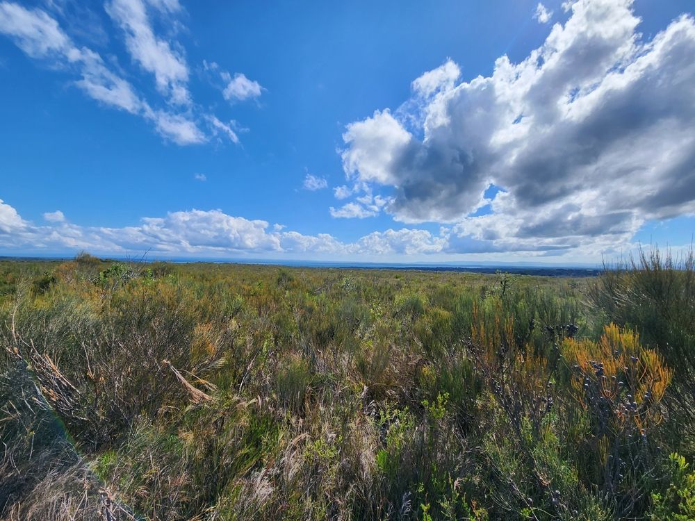 A Lush Green Field With A Blue Sky And Clouds — Jervis Bay Pressure Washing & Property Maintenance In Jervis Bay, NSW