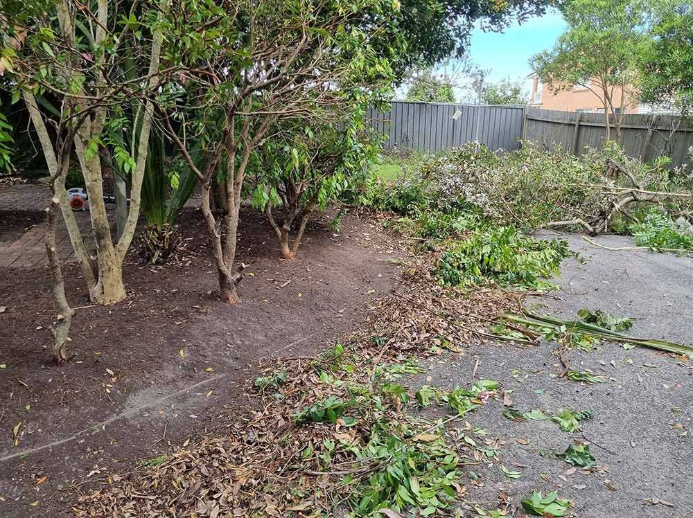 Cleaning The Garden Newly Cut Branches Of Trees — Jervis Bay Pressure Washing & Property Maintenance in Vincentia, NSW