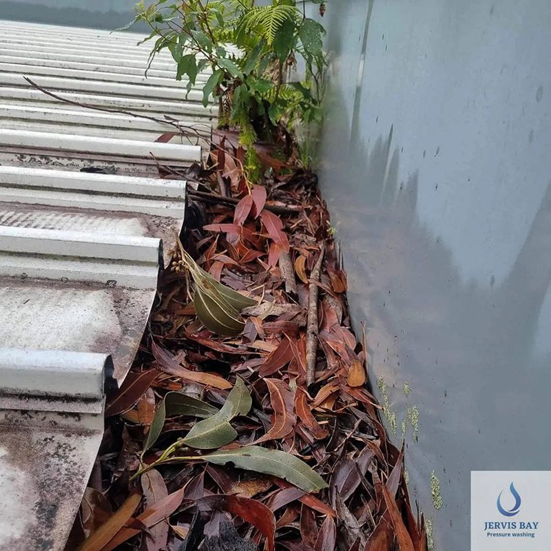 Dirty Gutter With Full Of Leaves — Jervis Bay Pressure Washing & Property Maintenance in Sussex Inlet, NSW