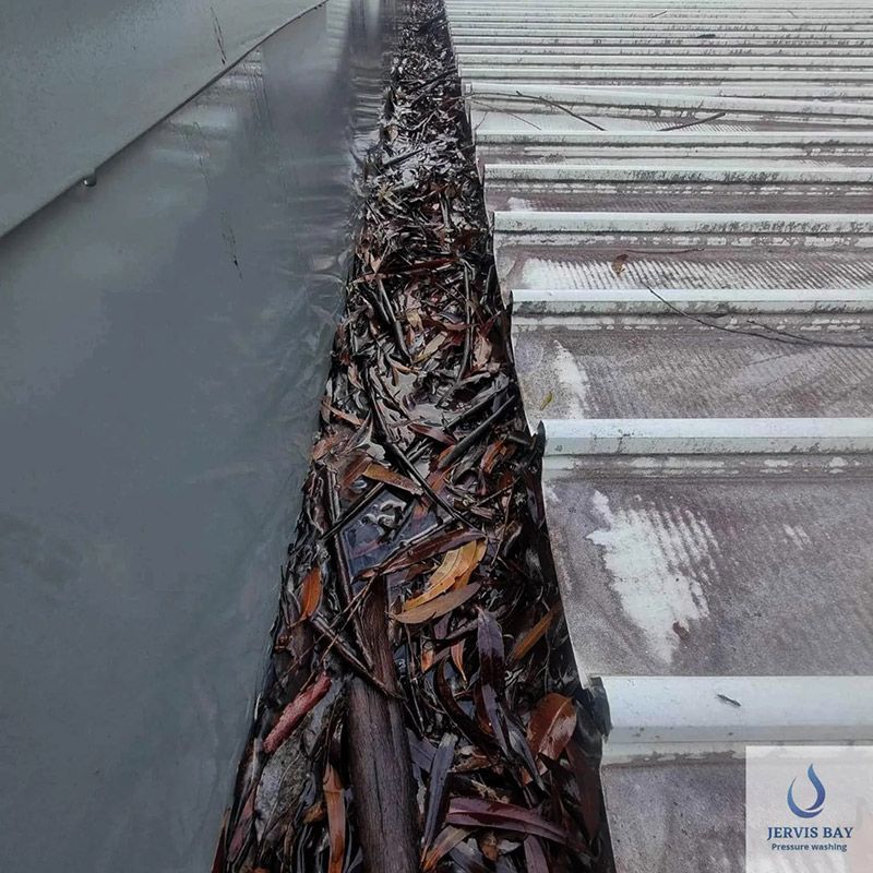 Dirty Gutter With A Lot Of Leaves Before Cleaning — Jervis Bay Pressure Washing & Property Maintenance In Berry, NSW