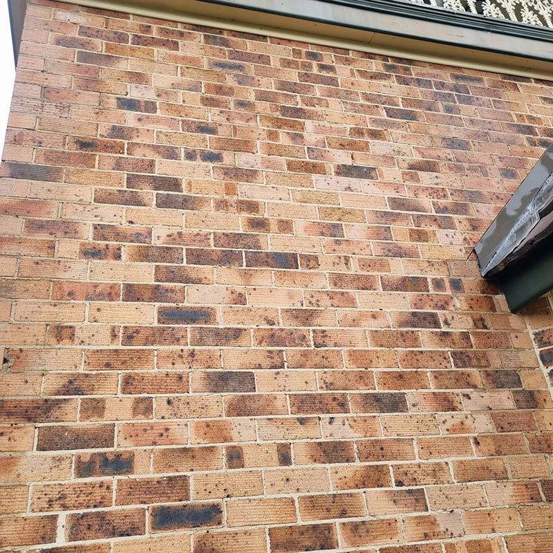 Brick Wall Of The House Cleaning — Jervis Bay Pressure Washing & Property Maintenance in Sussex Inlet, NSW
