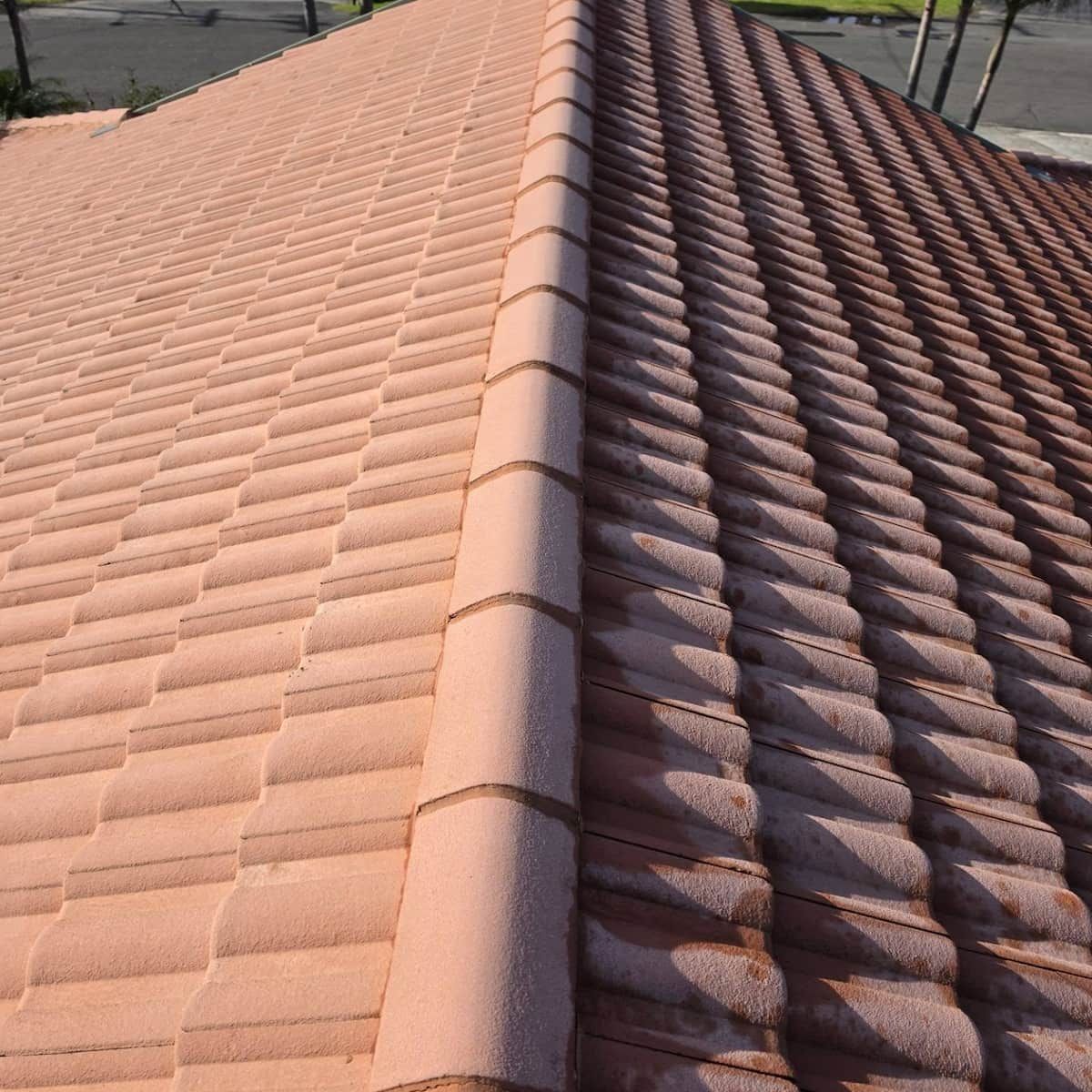 Terracotta Tile Roof Ridge — Jervis Bay Pressure Washing & Property Maintenance in Sanctuary Point, NSW