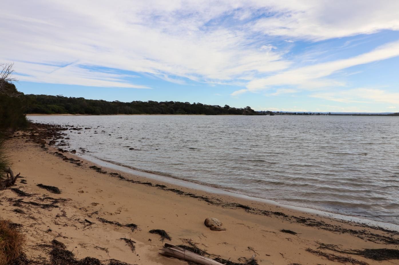Beach With Sand And Driftwood Under A Cloudy Sky — Jervis Bay Pressure Washing & Property Maintenance In Culburra, NSW