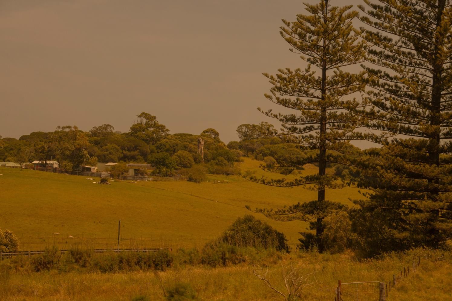 A Field With Trees And Grass — Jervis Bay Pressure Washing & Property Maintenance In Berry, NSW