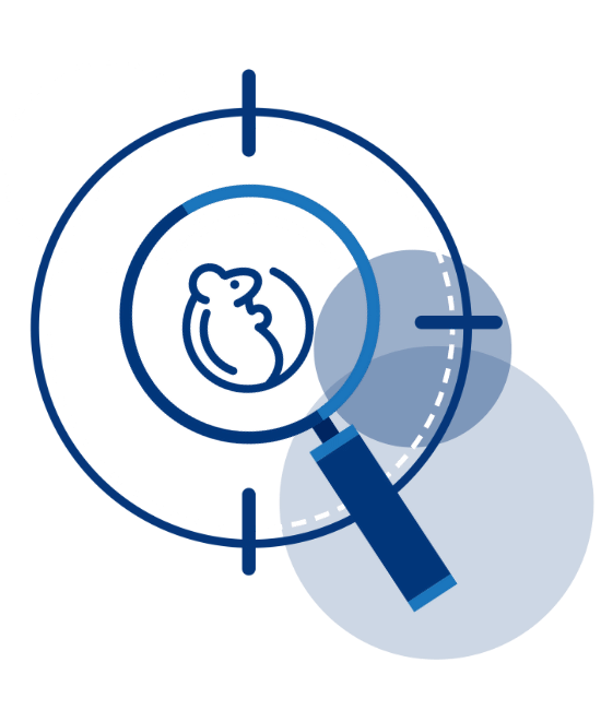 A magnifying glass is looking at a mouse in a target.