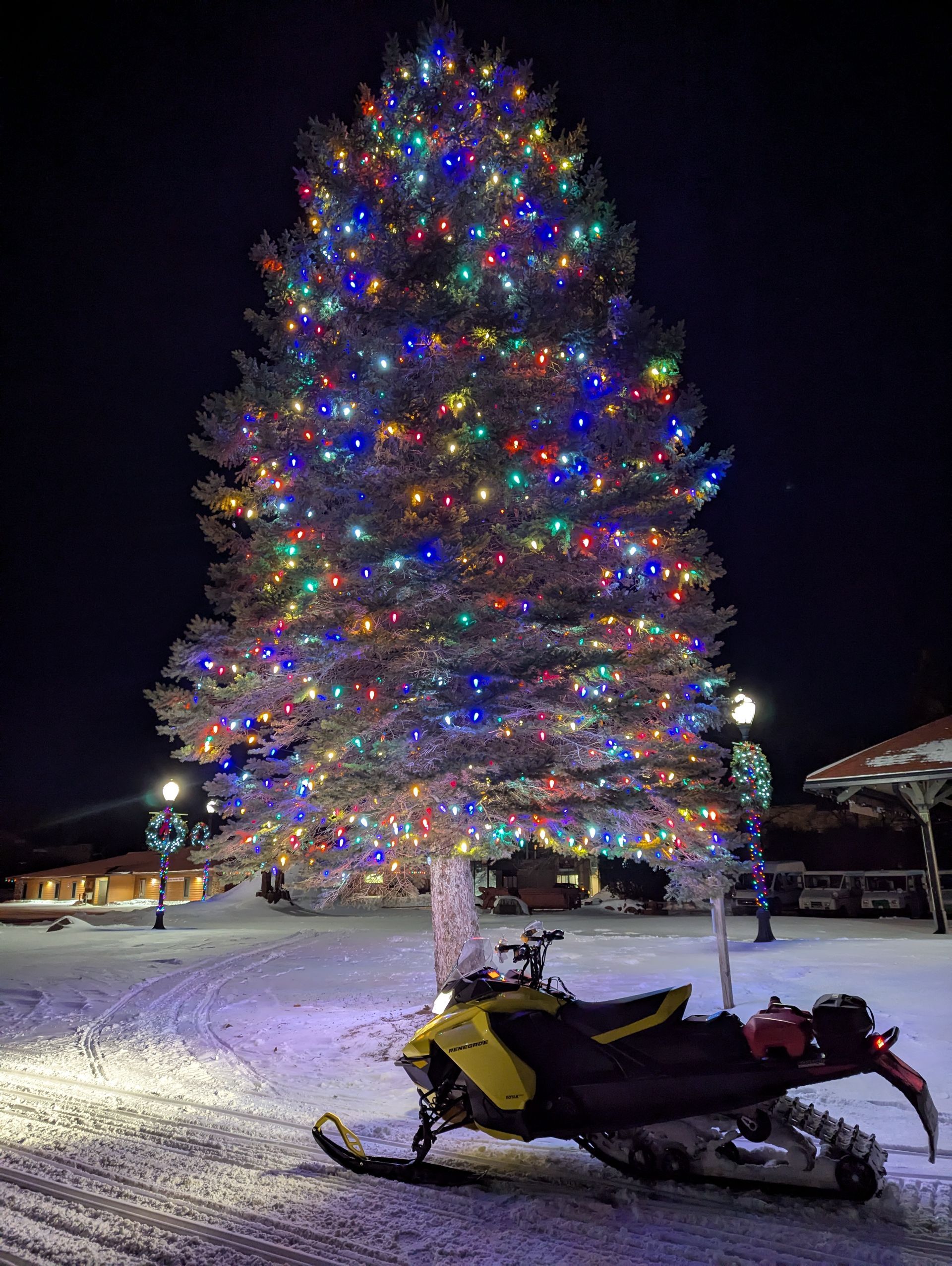 Large Christmas tree lit with colorful lights in a snowy night scene, with a snowmobile in the foreground.
