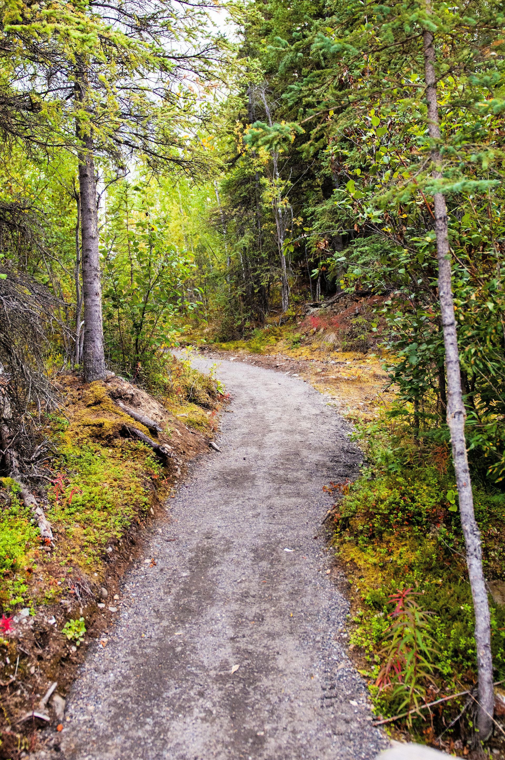 iowa-trail