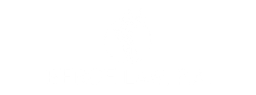 Berge Law P.A.